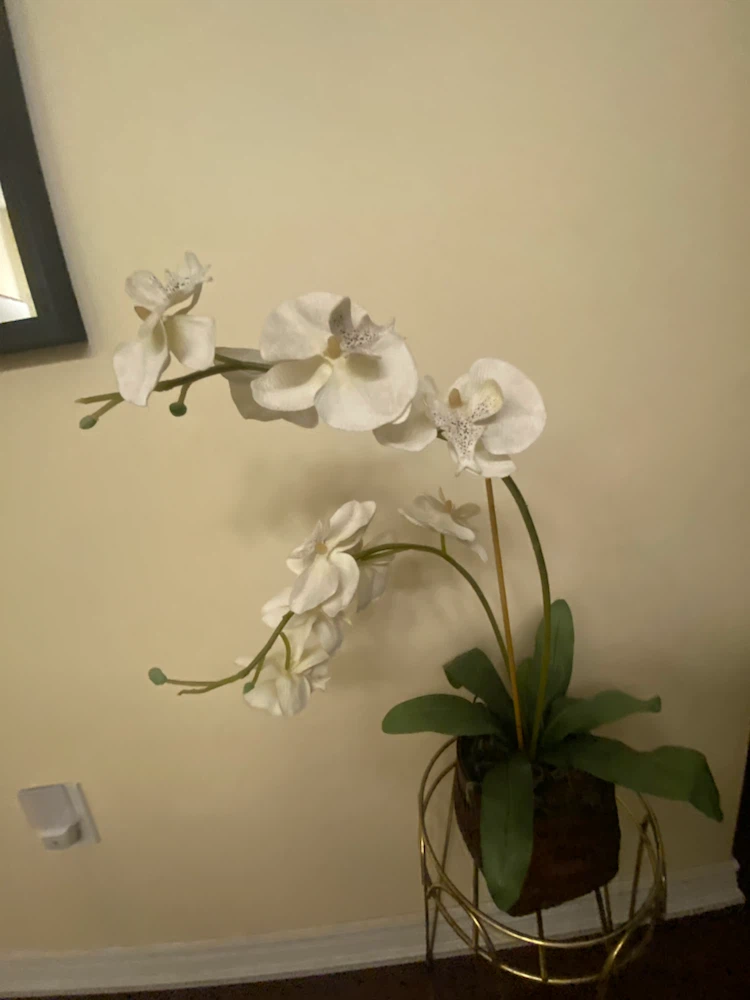 Artificial White Orchid Plant - photo 4