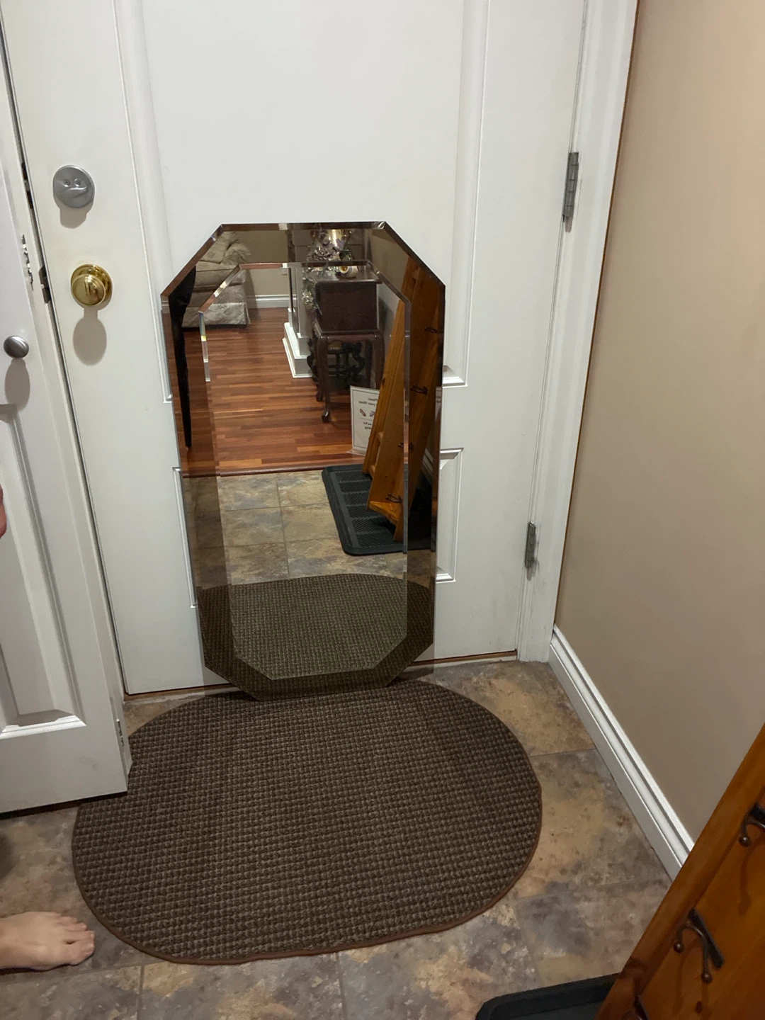 Door Mirror