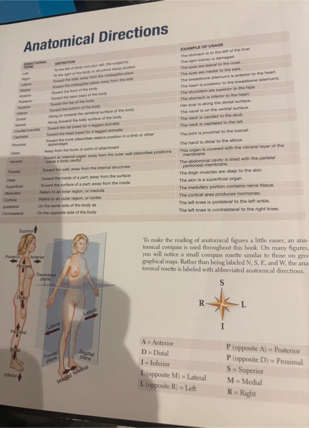 Anatomy & Physiology 10th Edition Textbook by Patton - photo 5