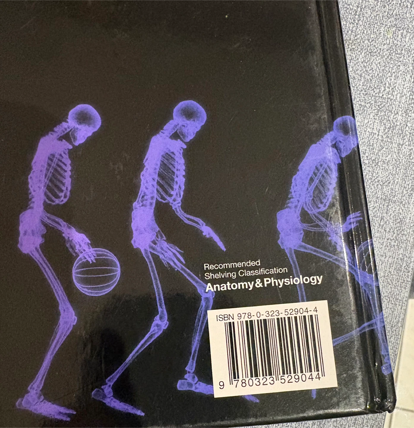 Anatomy & Physiology 10th Edition Textbook by Patton - photo 2
