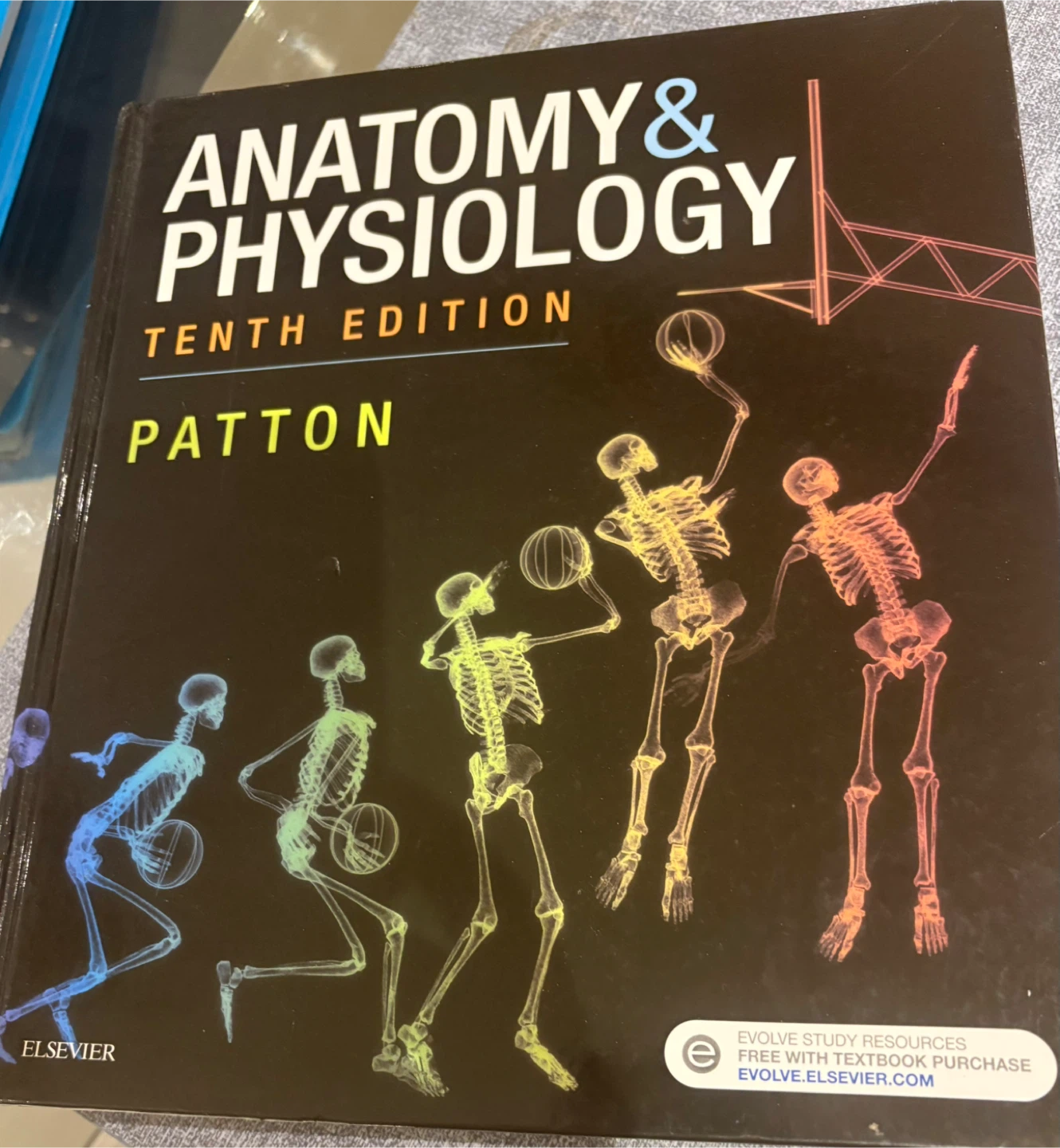 Anatomy & Physiology 10th Edition Textbook by Patton