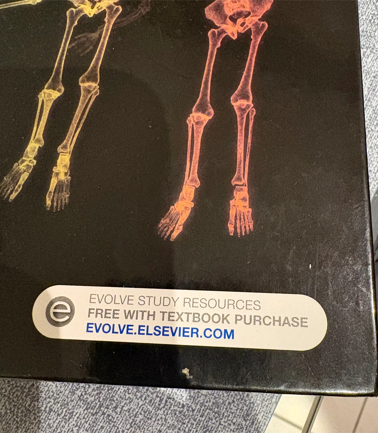Anatomy & Physiology 10th Edition Textbook by Patton - photo 4