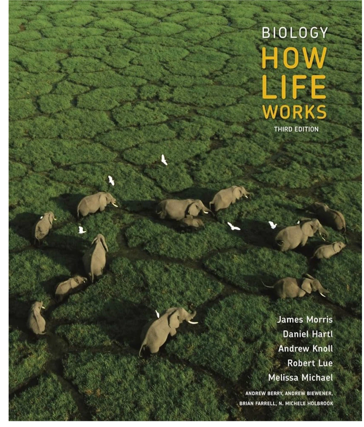 Biology: How Life Works Third Edition Textbook