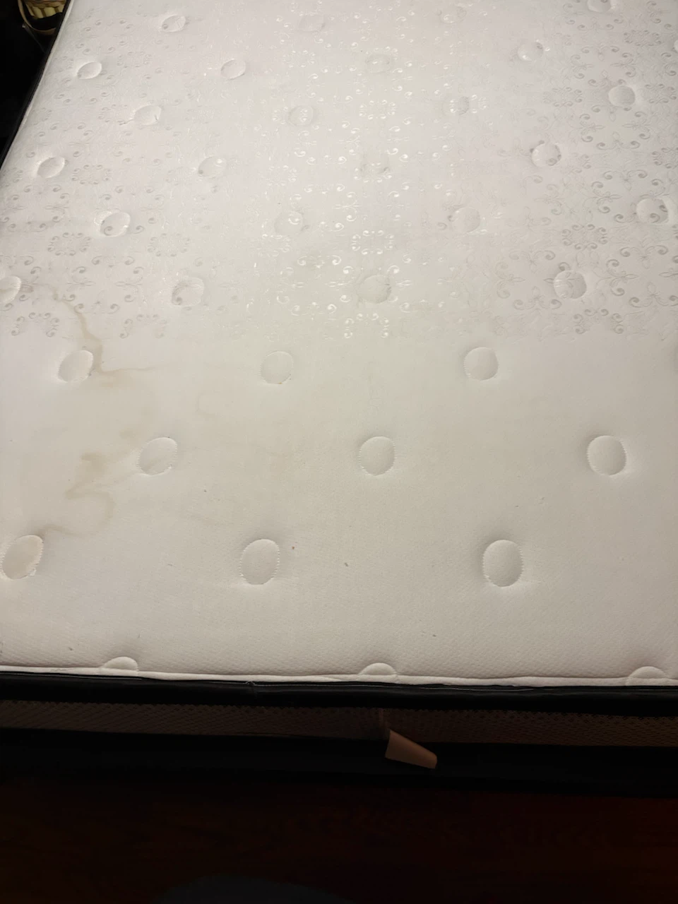 Sleep Inn Mattress Velvet Rose - photo 3