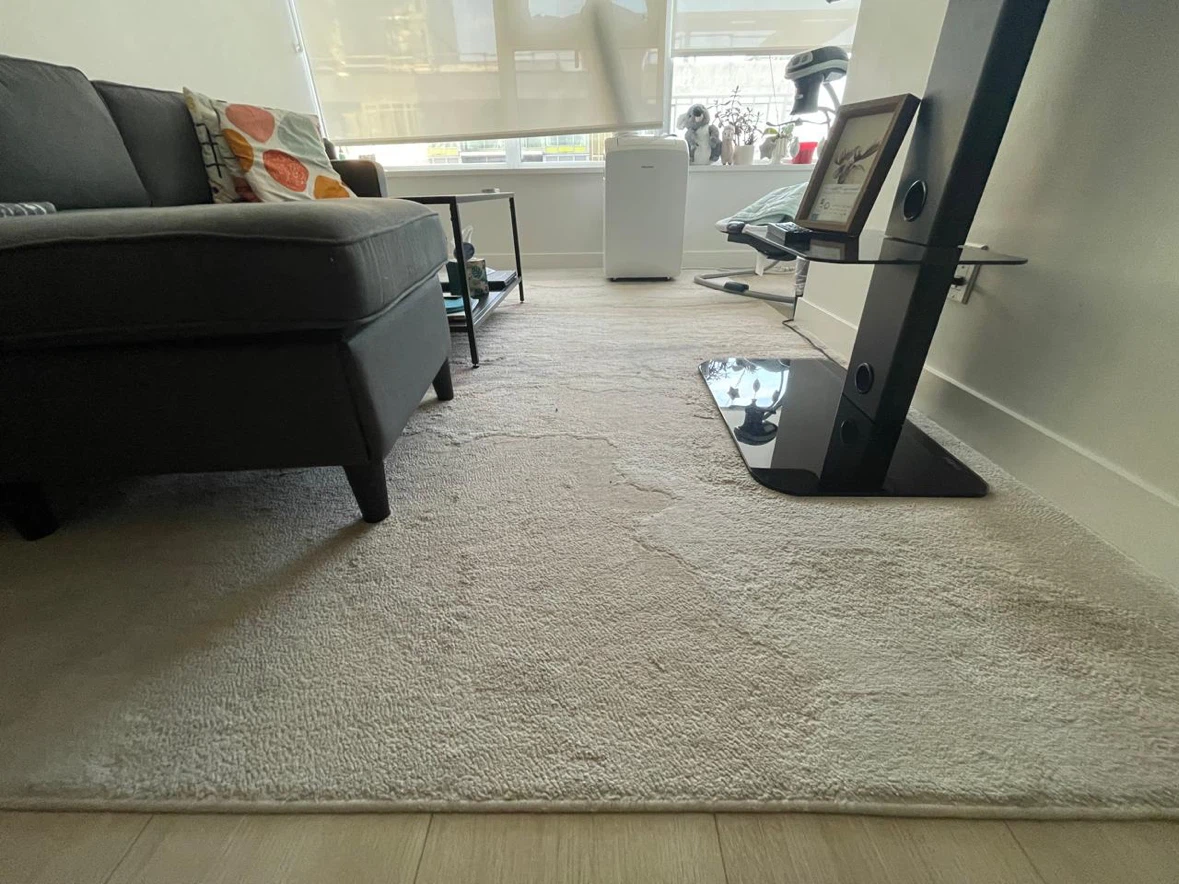 JEWEL Beige/Gold Area Rug