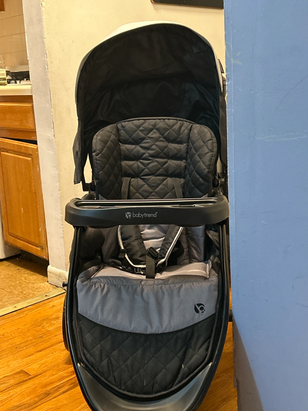 Baby Trend Stroller