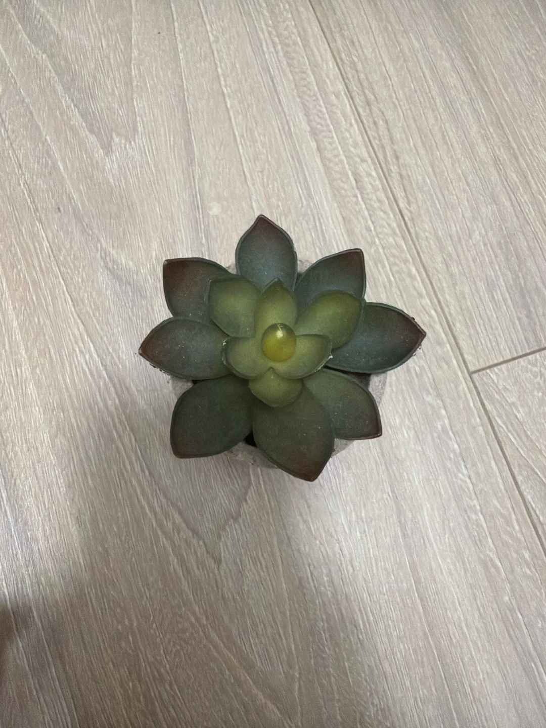 Set of 2 artificial succulant plants - photo 3