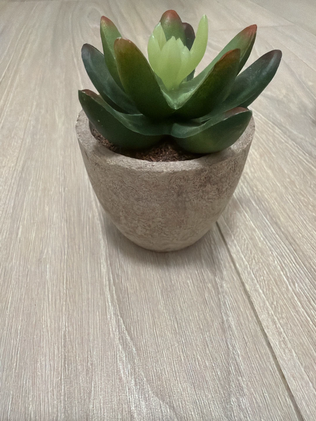 Set of 2 artificial succulant plants - photo 4