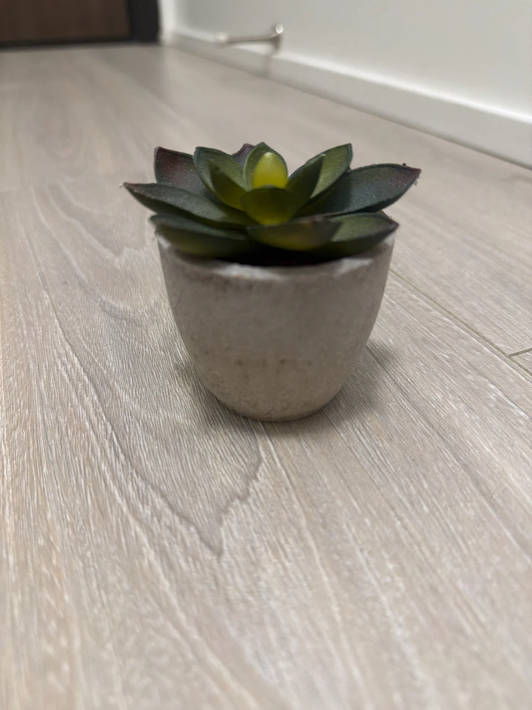 Set of 2 artificial succulant plants - photo 5
