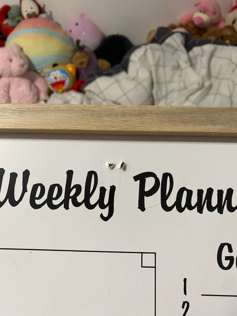 Weekly Planner Whiteboard - photo 2