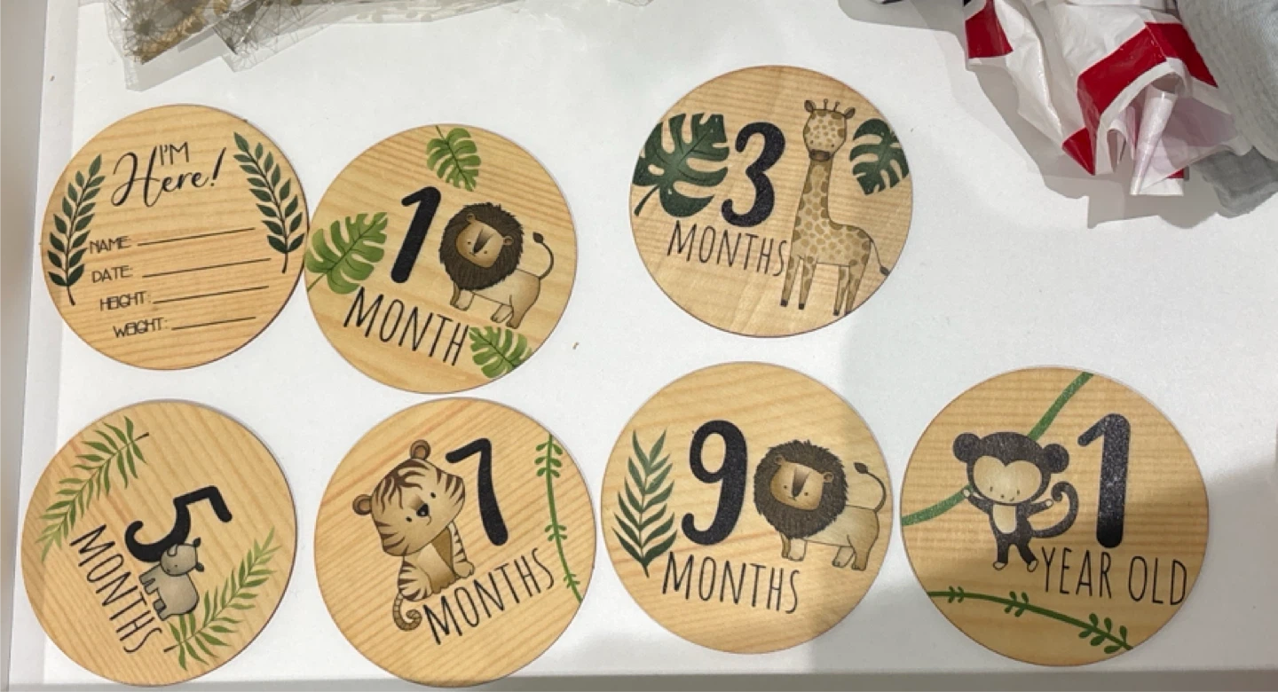 Baby Milestone Wooden Discs