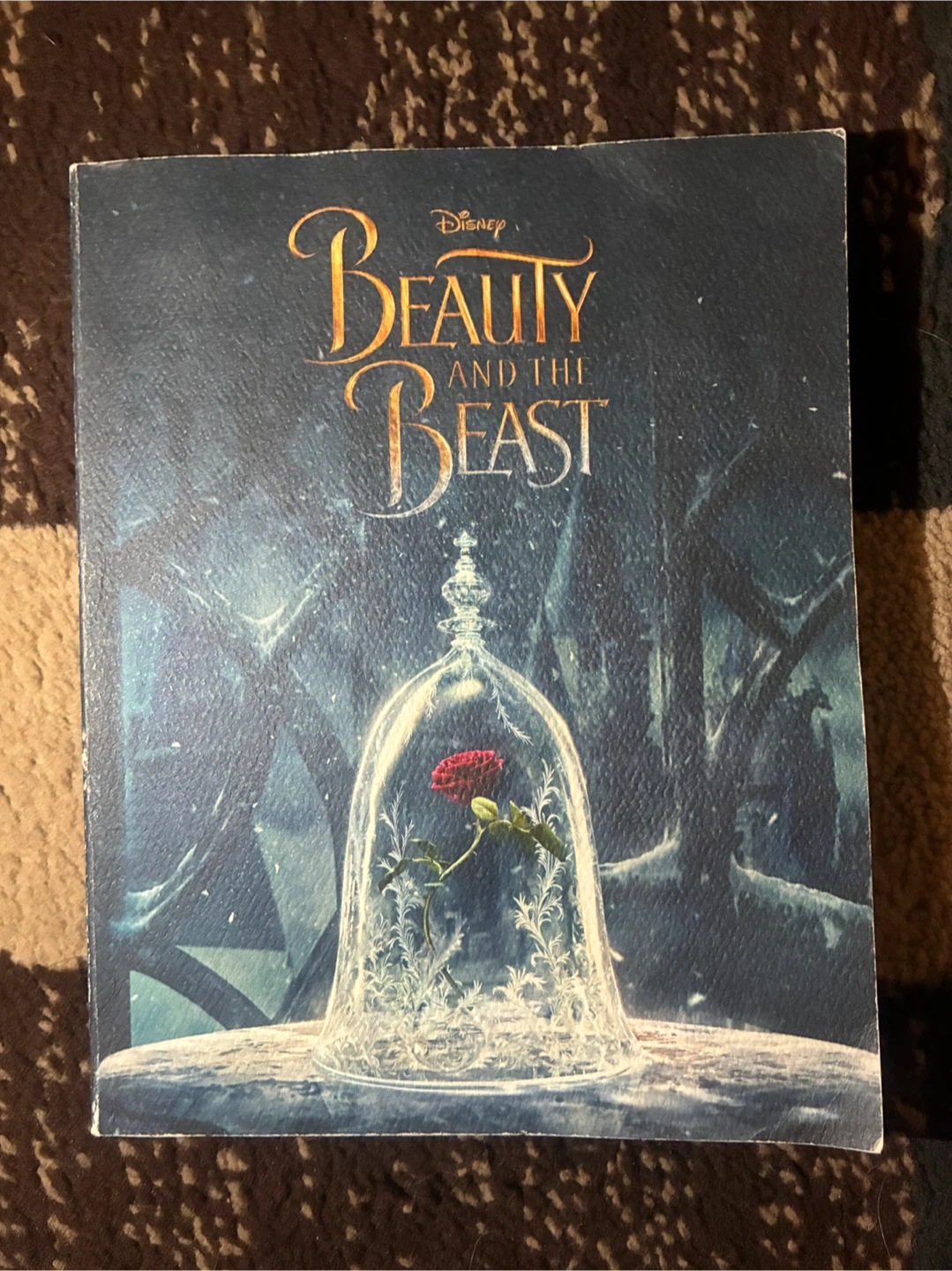 Disney Beauty and the Beast