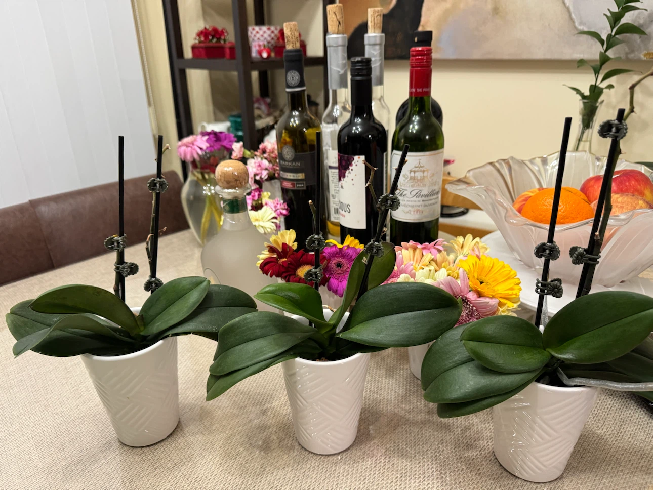 Three Mini Orchid Plants in White Pots - photo 2