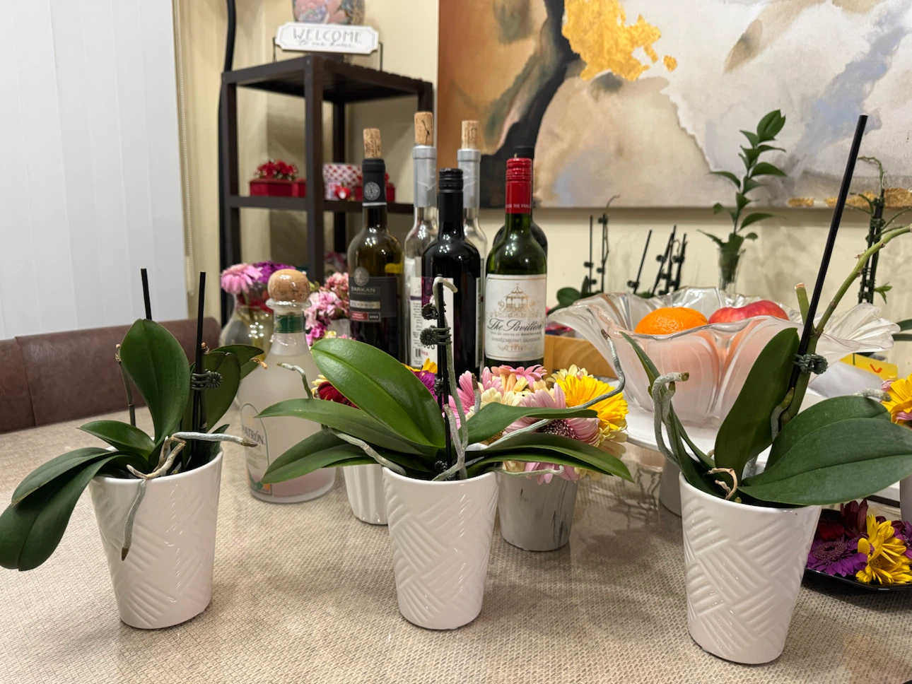 Three Orchid Plant in White Pot