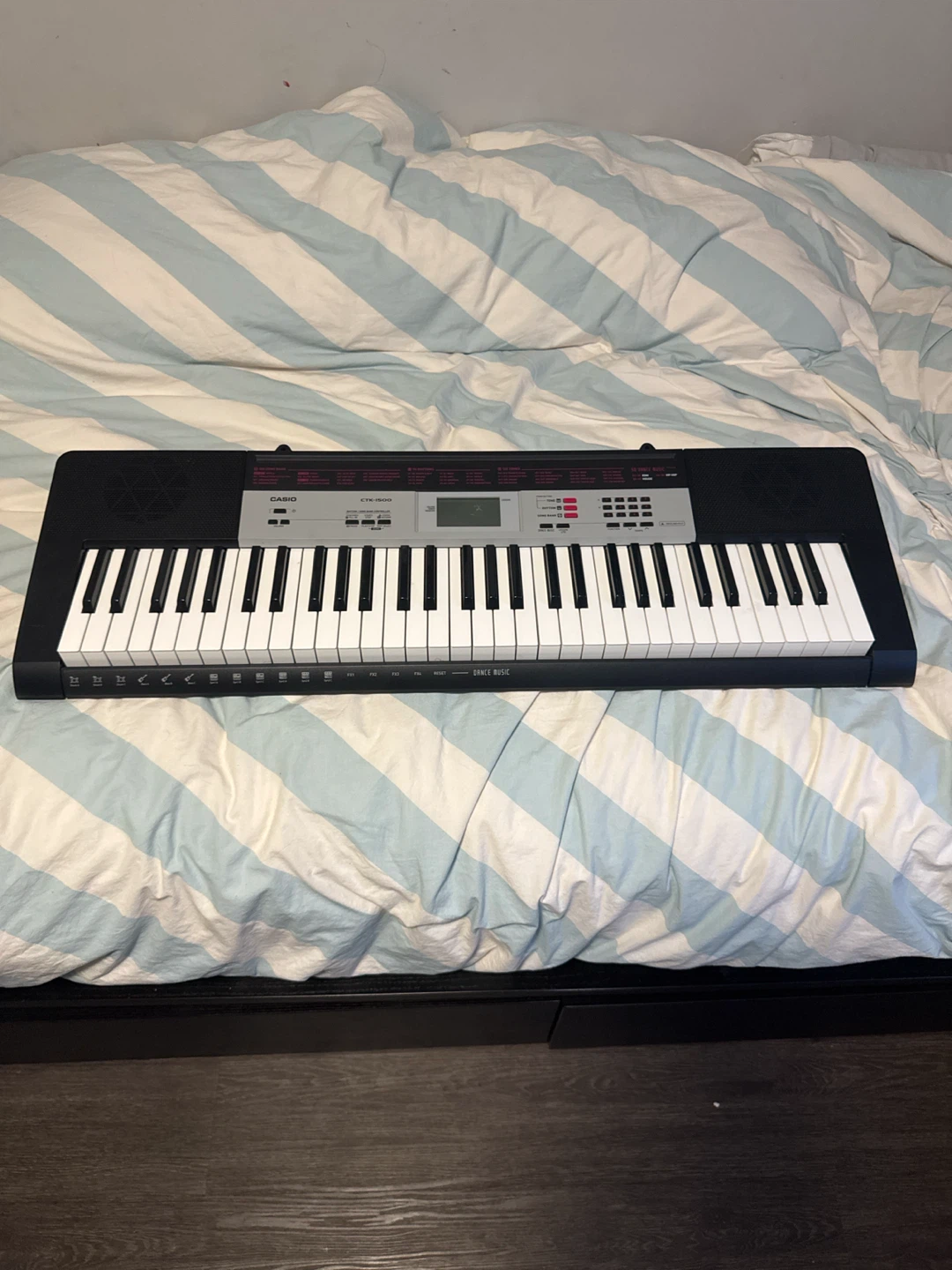 Casio Keyboard