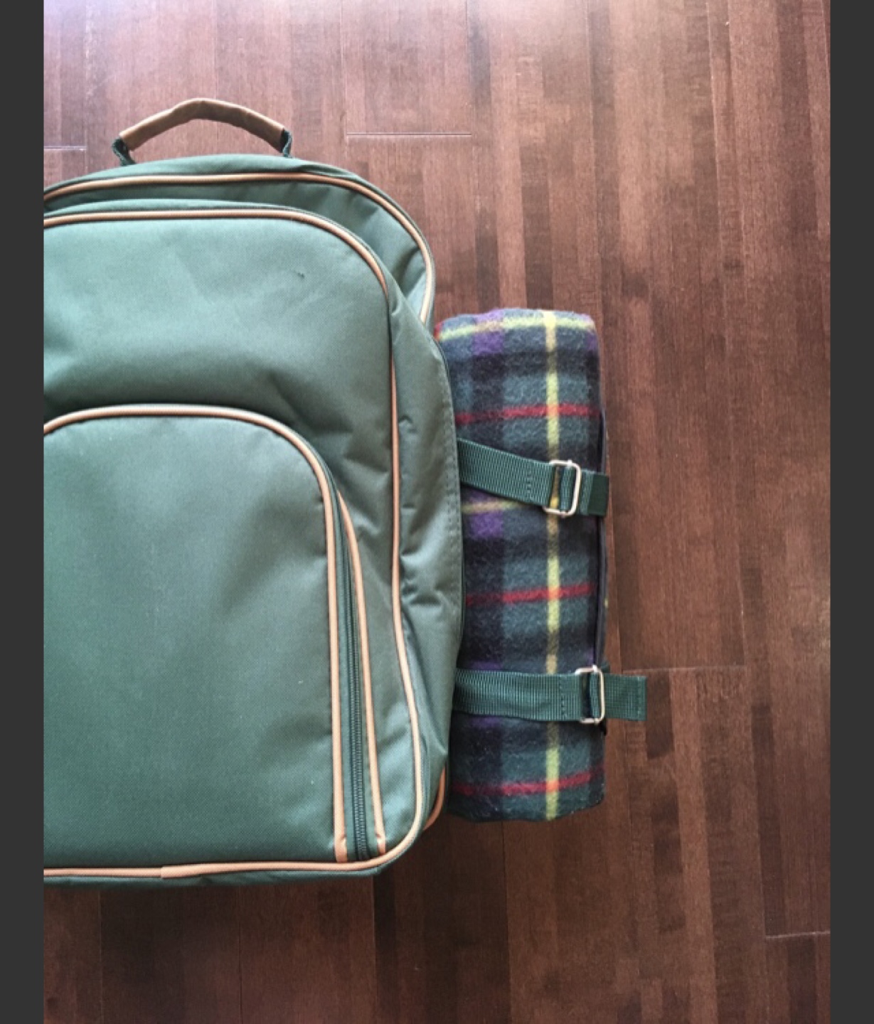 Picnic Backpack Set with Blanket - photo 2