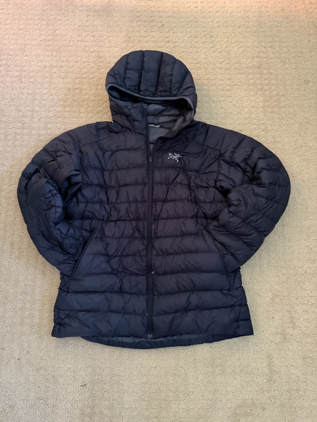 Arc'teryx Men's Down Hoody L/G