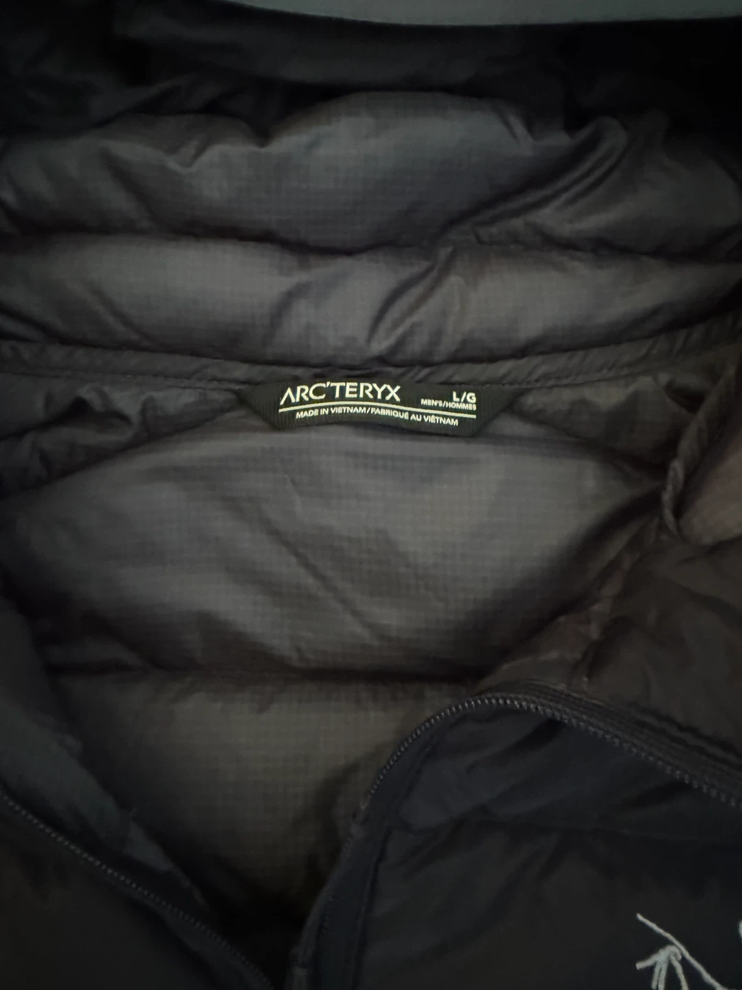 Arc'teryx Men's Down Hoody L/G - photo 3