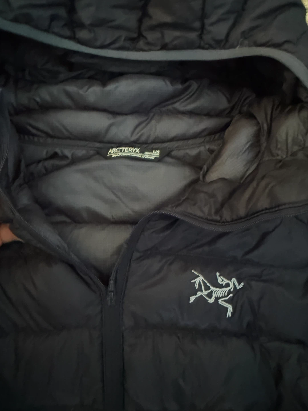 Arc'teryx Men's Down Hoody L/G - photo 4