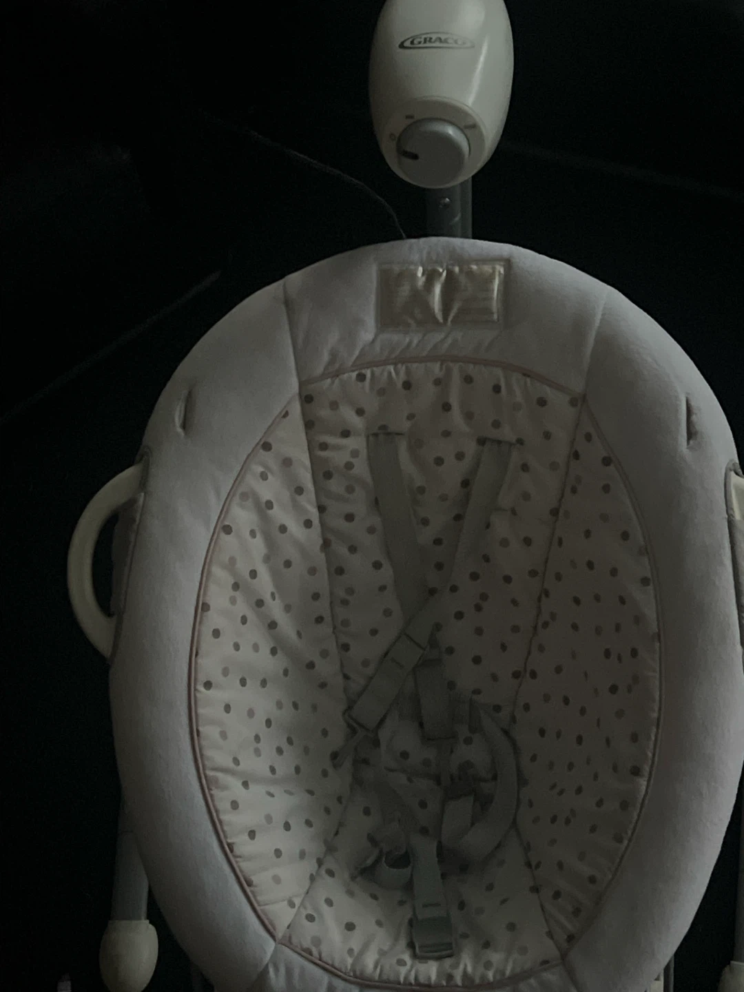 Graco Baby Swing