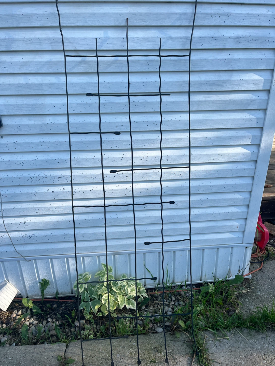 Black metal plant trellis - photo 2