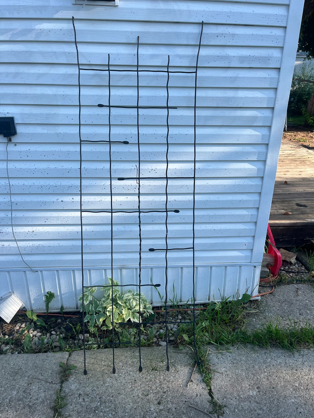 Black metal plant trellis - photo 3