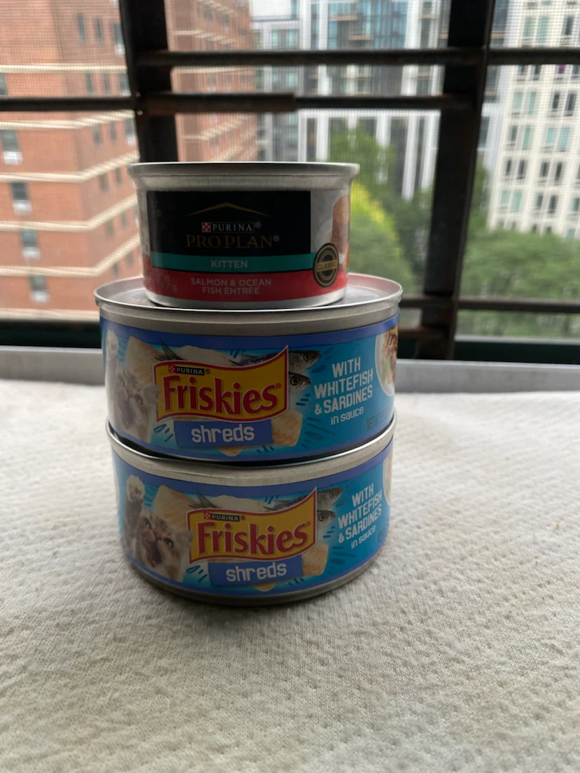 Purina Pro Plan Kitten Food & Friskies Cat Food