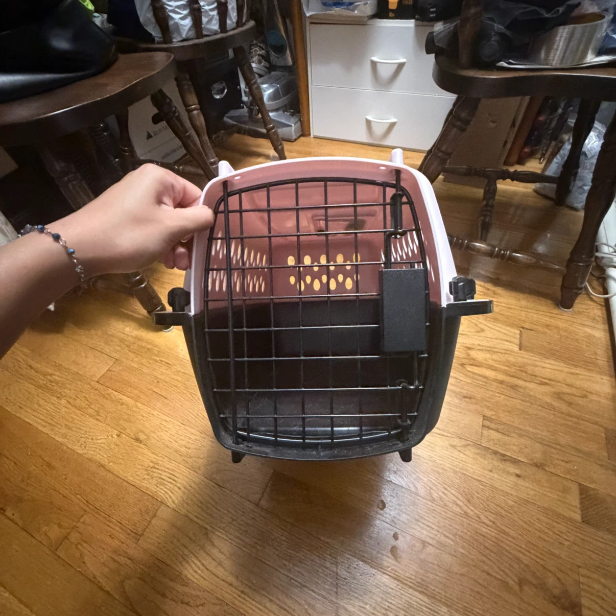 Pet Carrier