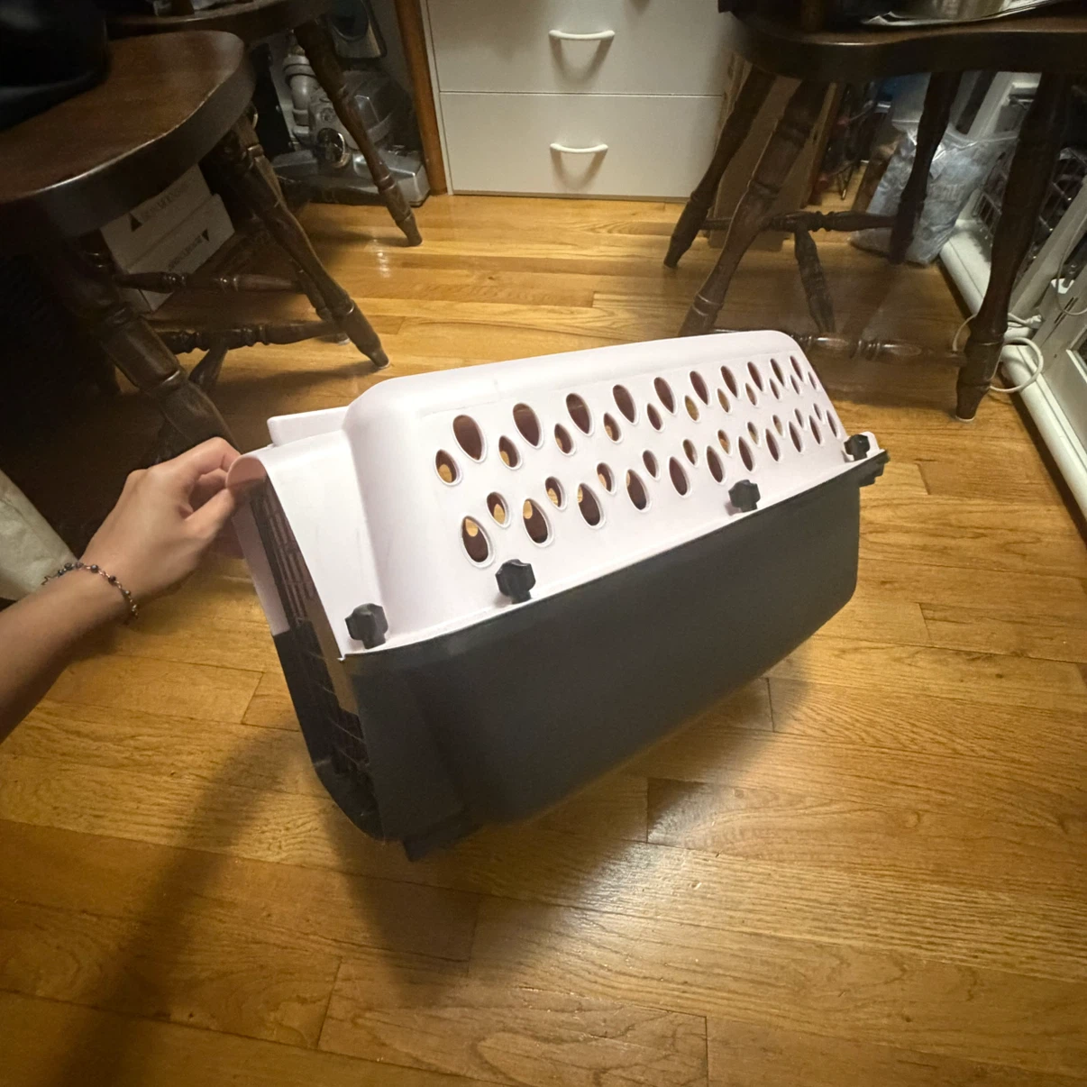 Pet Carrier - photo 3