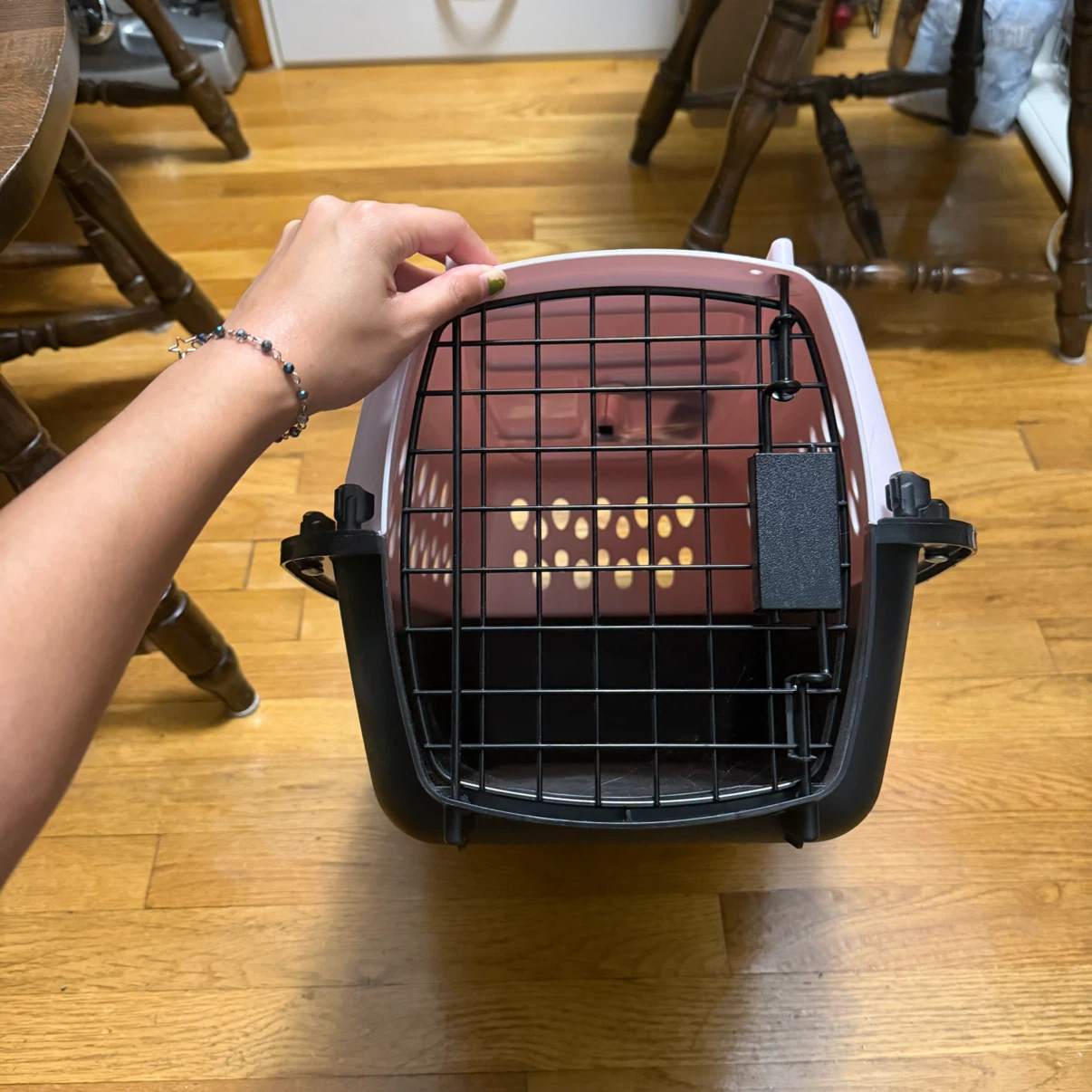 Pet Carrier - photo 4