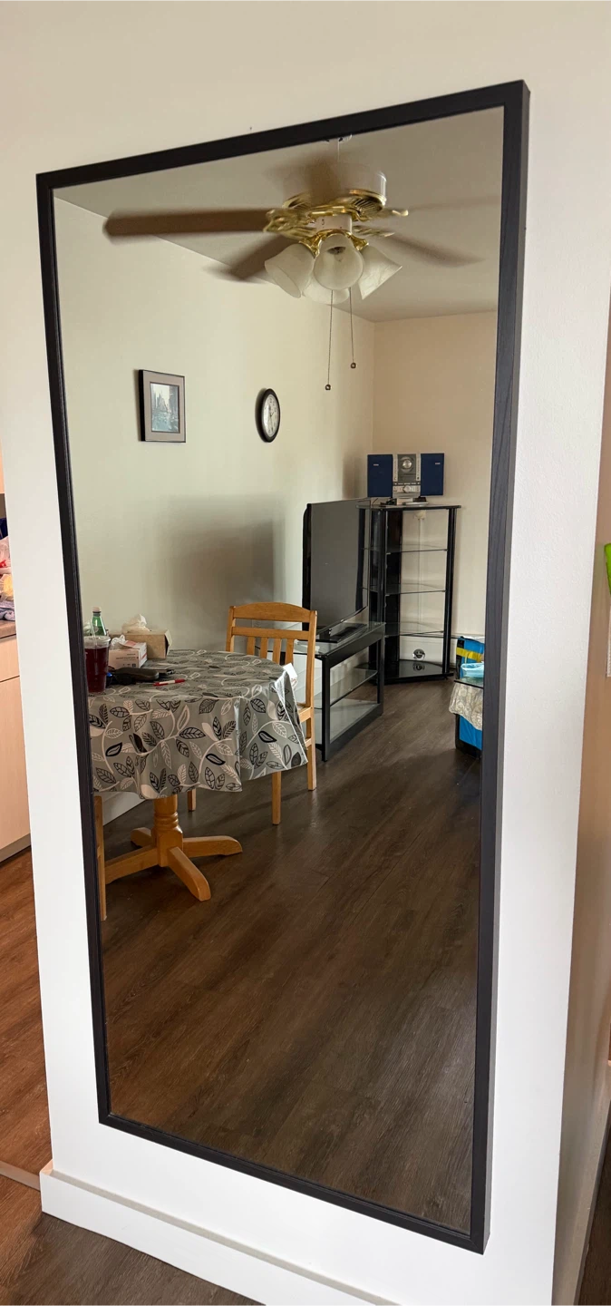 Full Length Black Framed Mirror