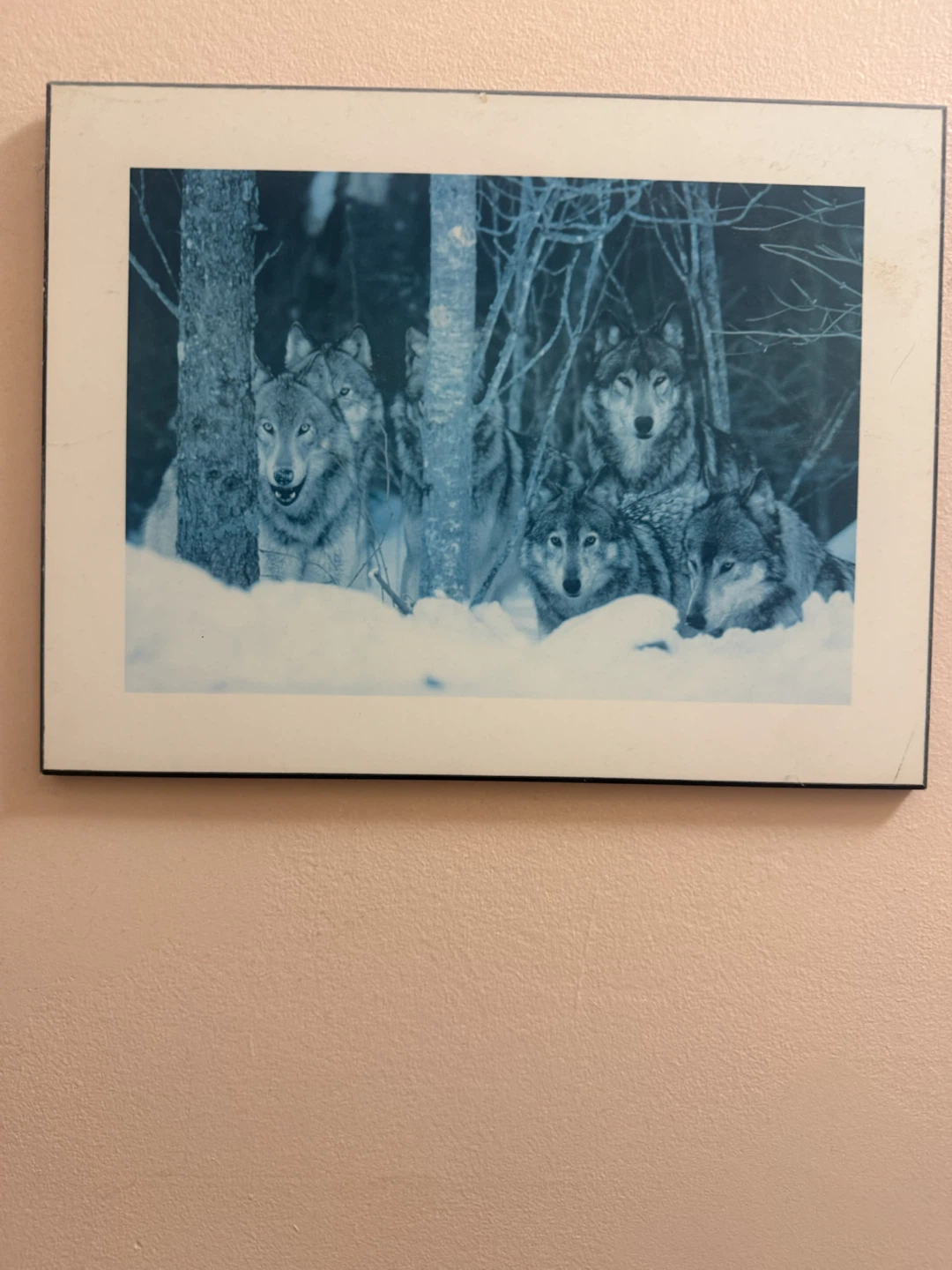 Wolf Pack Winter Scene Framed Art Print - photo 3