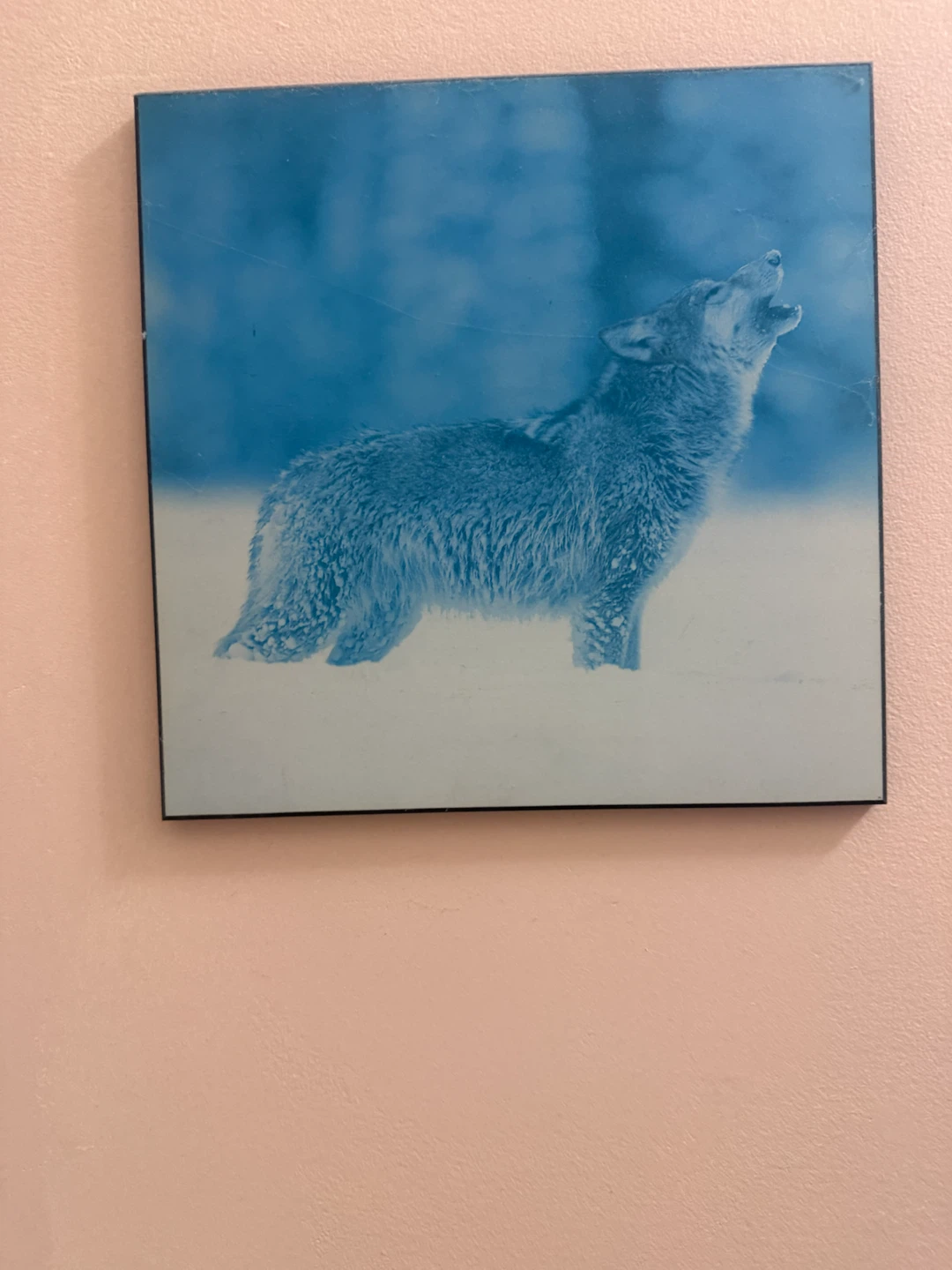 Wolf Pack Winter Scene Framed Art Print - photo 4