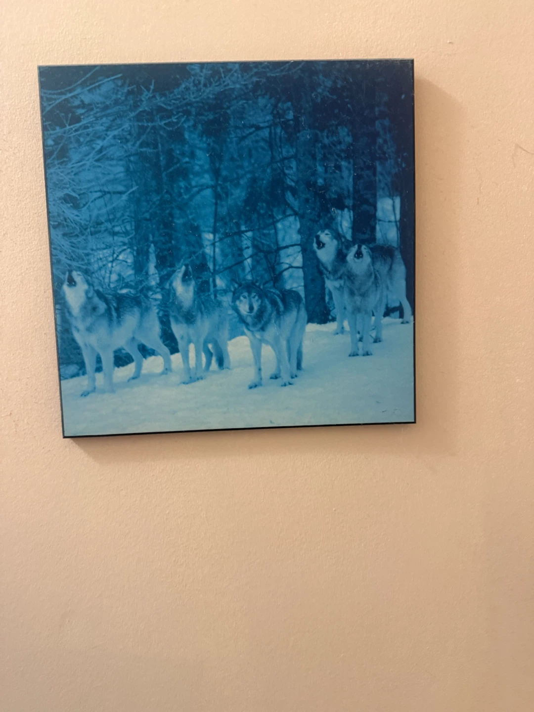 Wolf Pack Winter Scene Framed Art Print - photo 5
