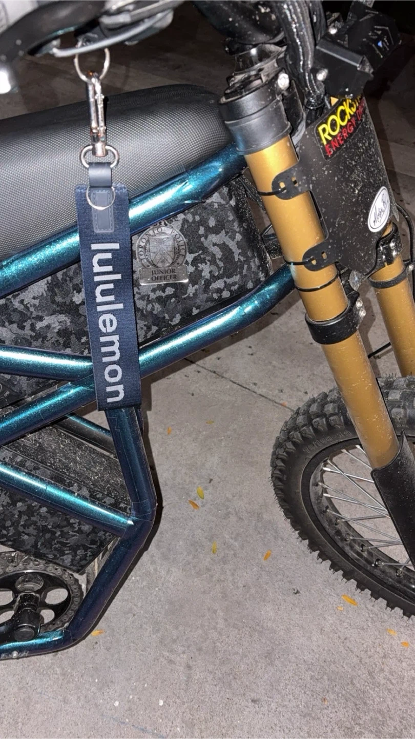 Electric Bike