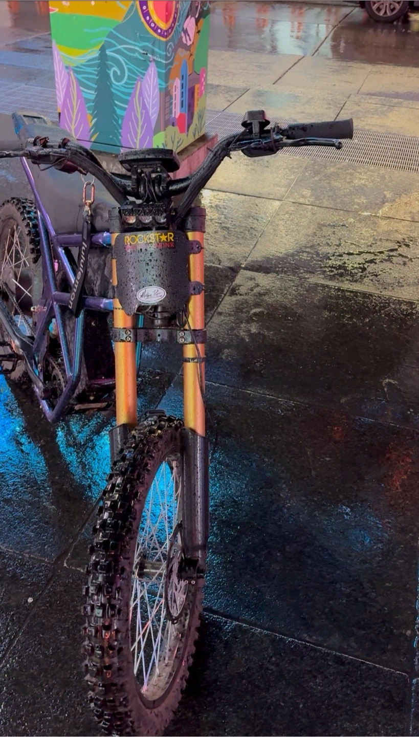 Electric Bike - photo 2