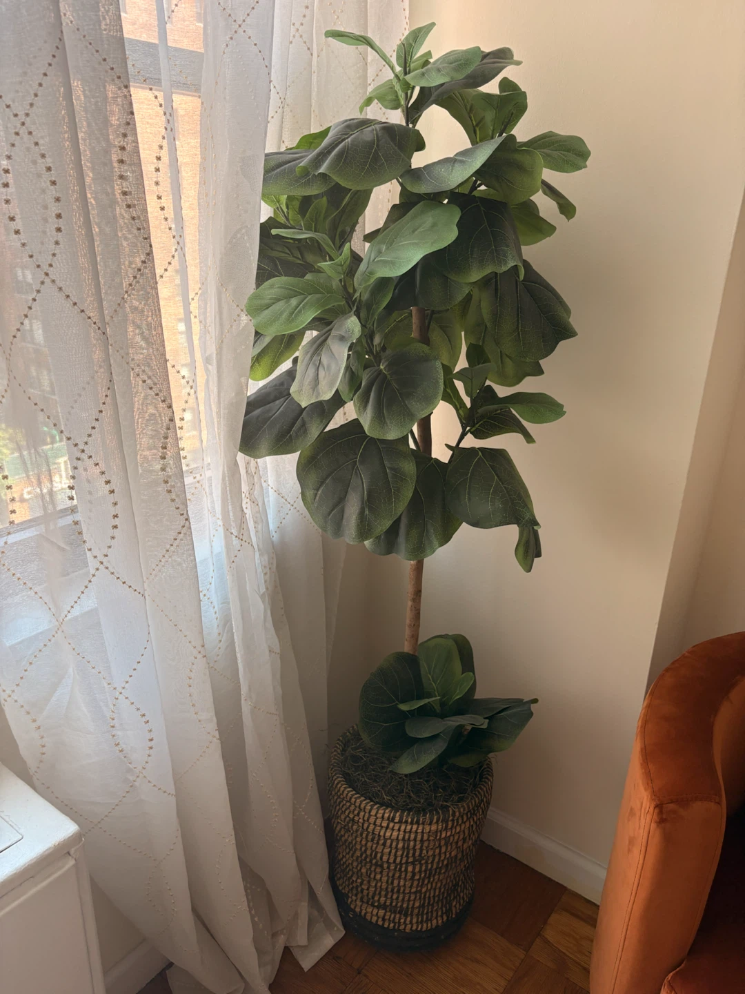 Fiddle Leaf Fig Artificial Plant in Wicker Basket