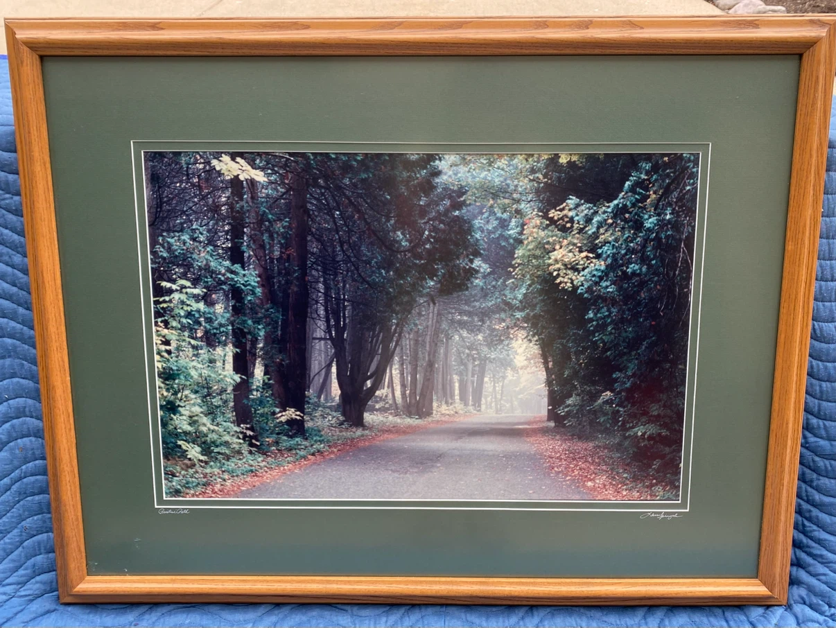 Laurel Spingola Photography Framed Print