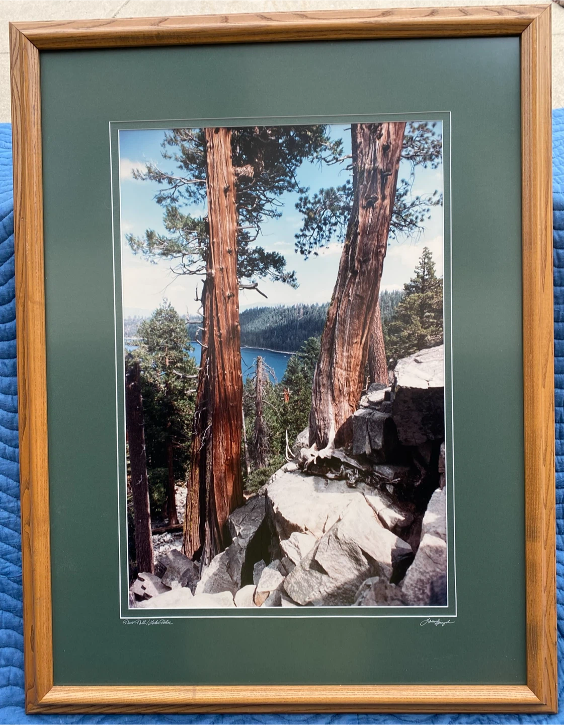 Laurel Spingola Photography Framed Prints (Set of 4) - photo 2