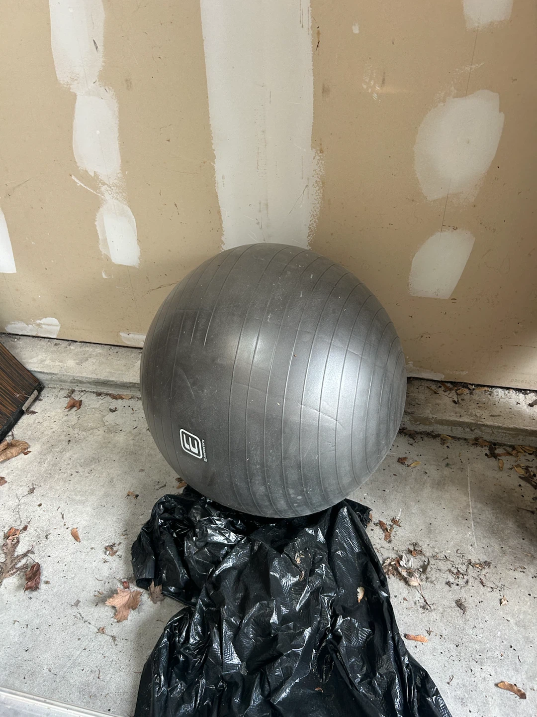 Two Gym Balls