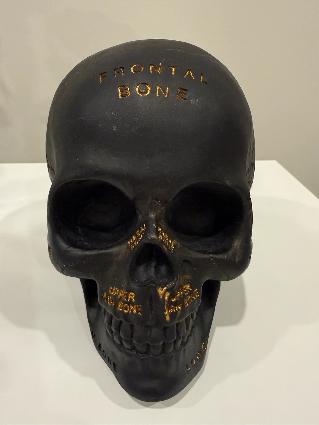 Ashland Halloween Tabletop Decor Skull