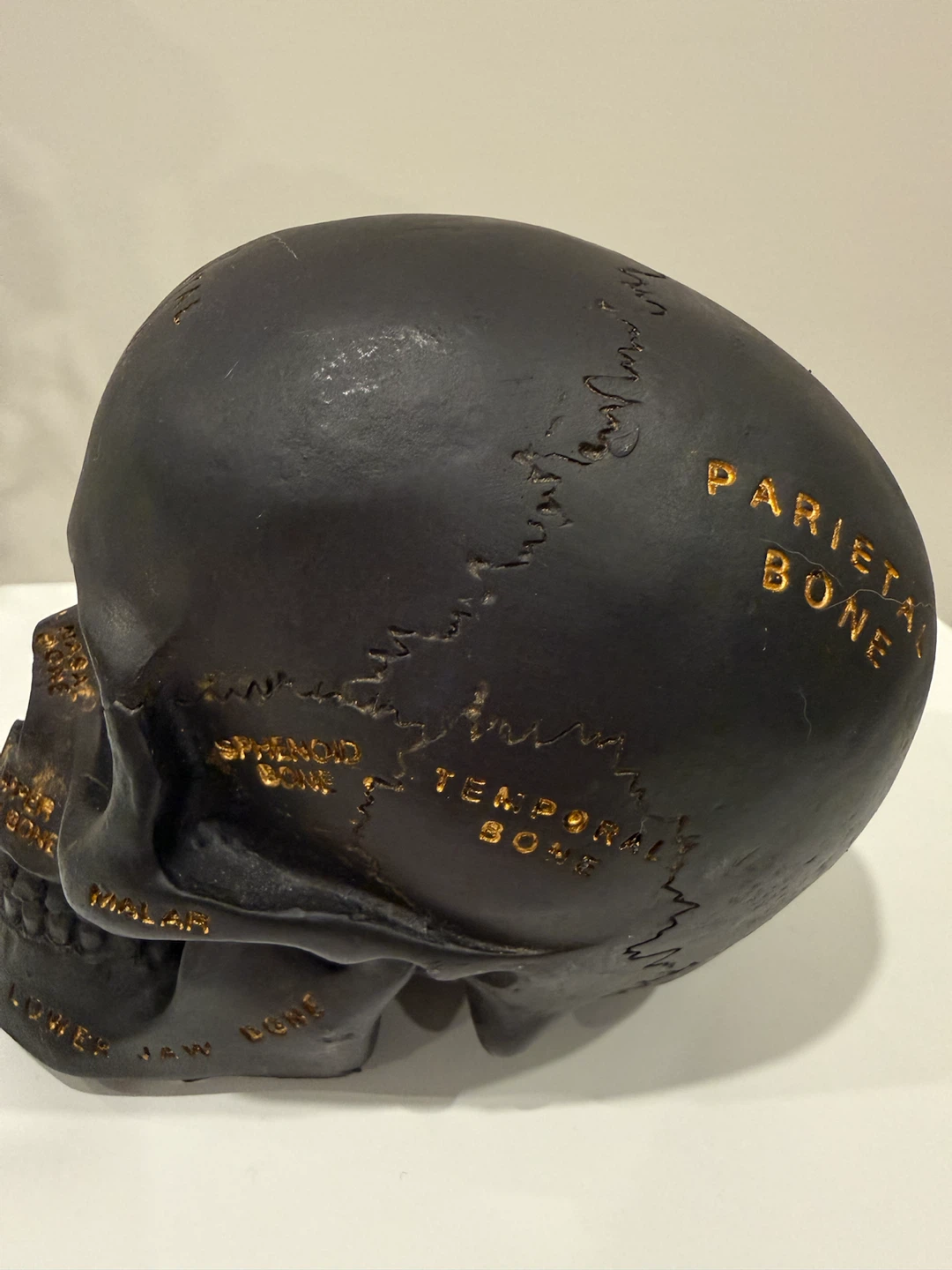 Ashland Halloween Tabletop Decor Skull - photo 2