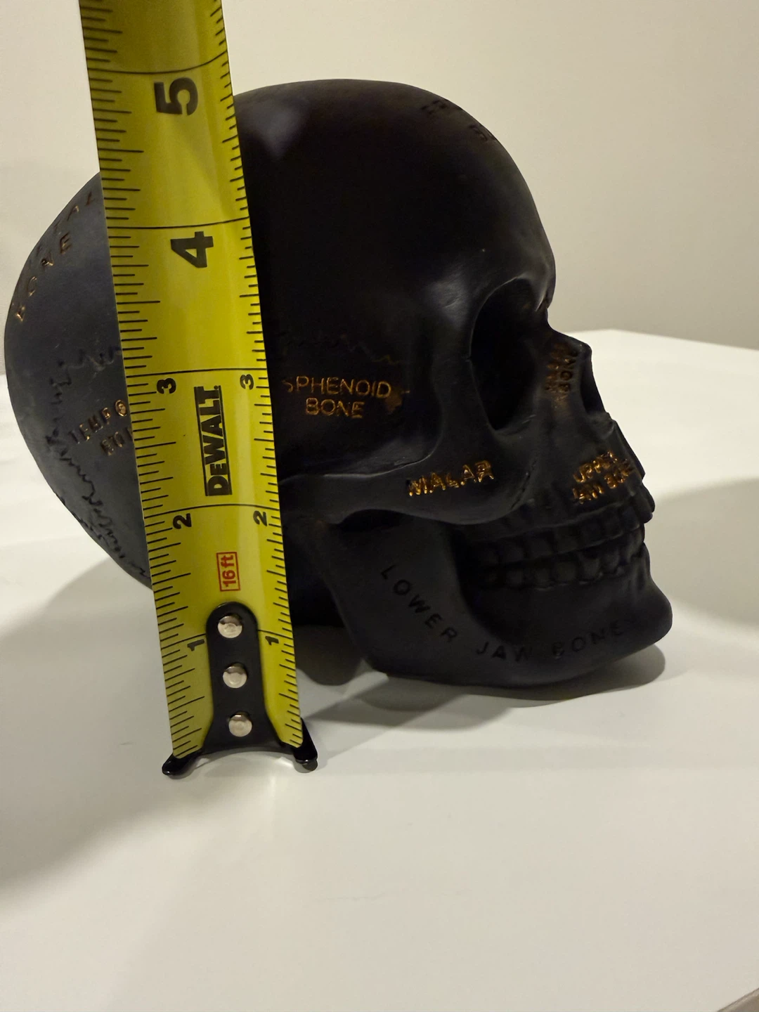 Ashland Halloween Tabletop Decor Skull - photo 5
