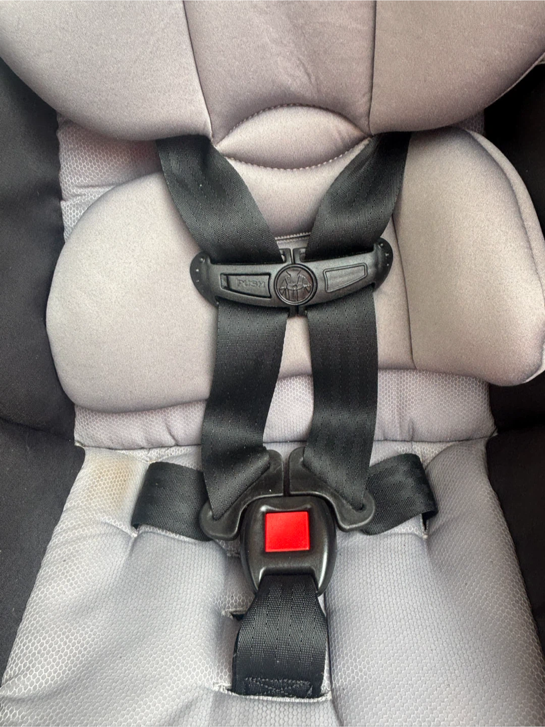 Safety 1st Infant Car Seat - photo 2