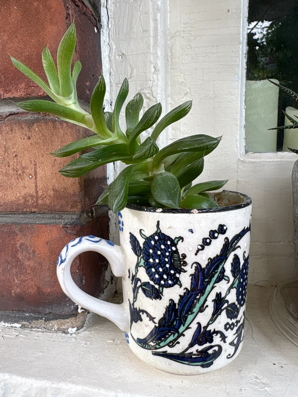 Succulent in decorative mug - photo 3
