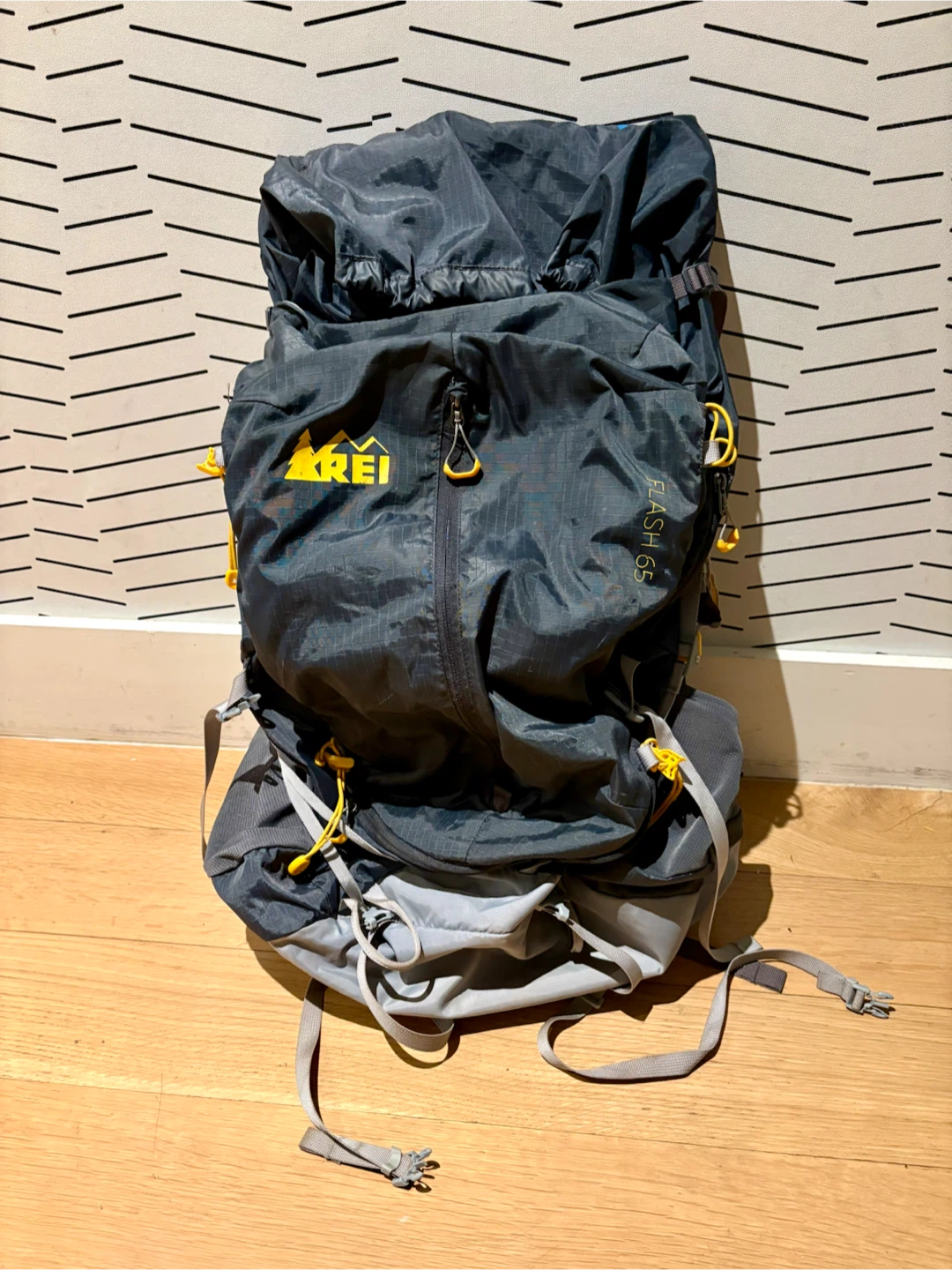 REI Flash 65 Backpack