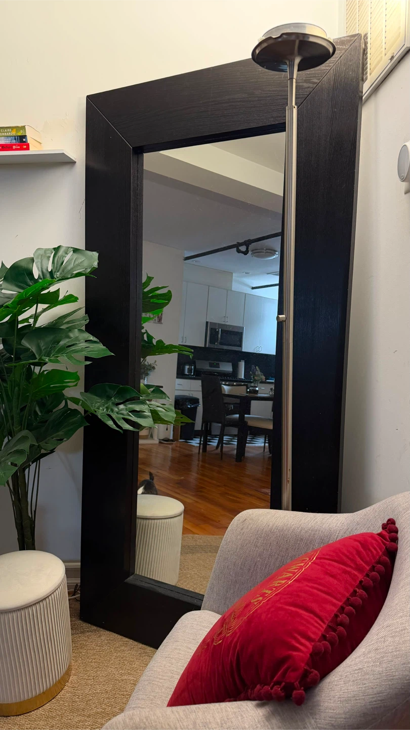 Black Full Length Mirror