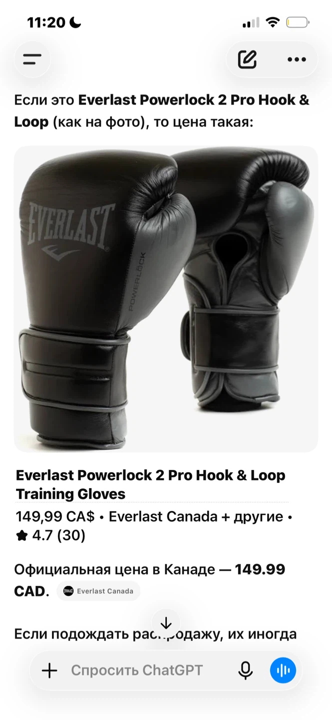 Everlast Boxing Gloves and Shoes - photo 2