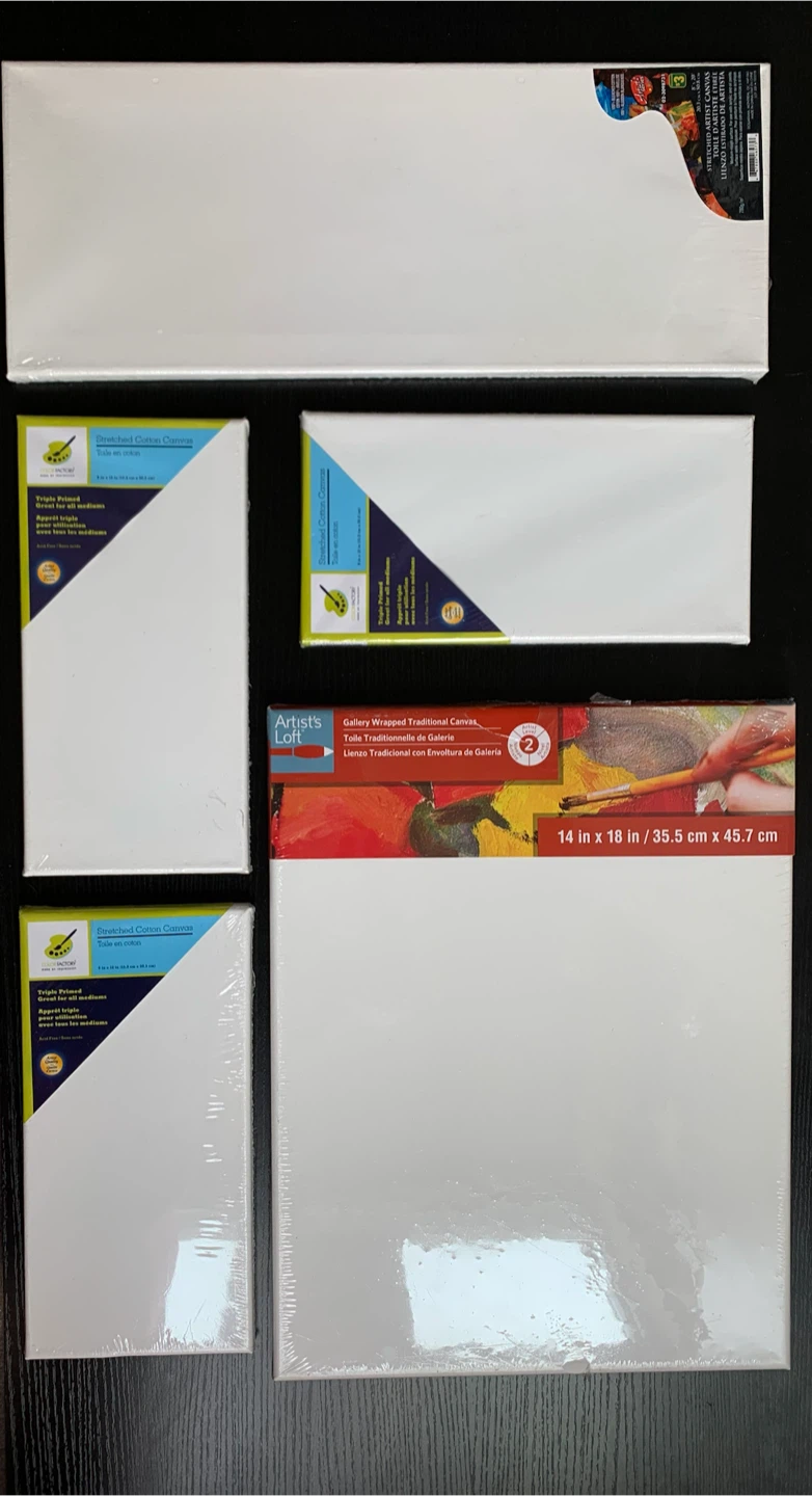 🆕 5 Assorted Size Artist Canvases - photo 2