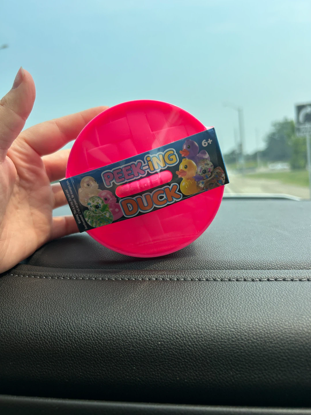 Peek-ing Duck Toy